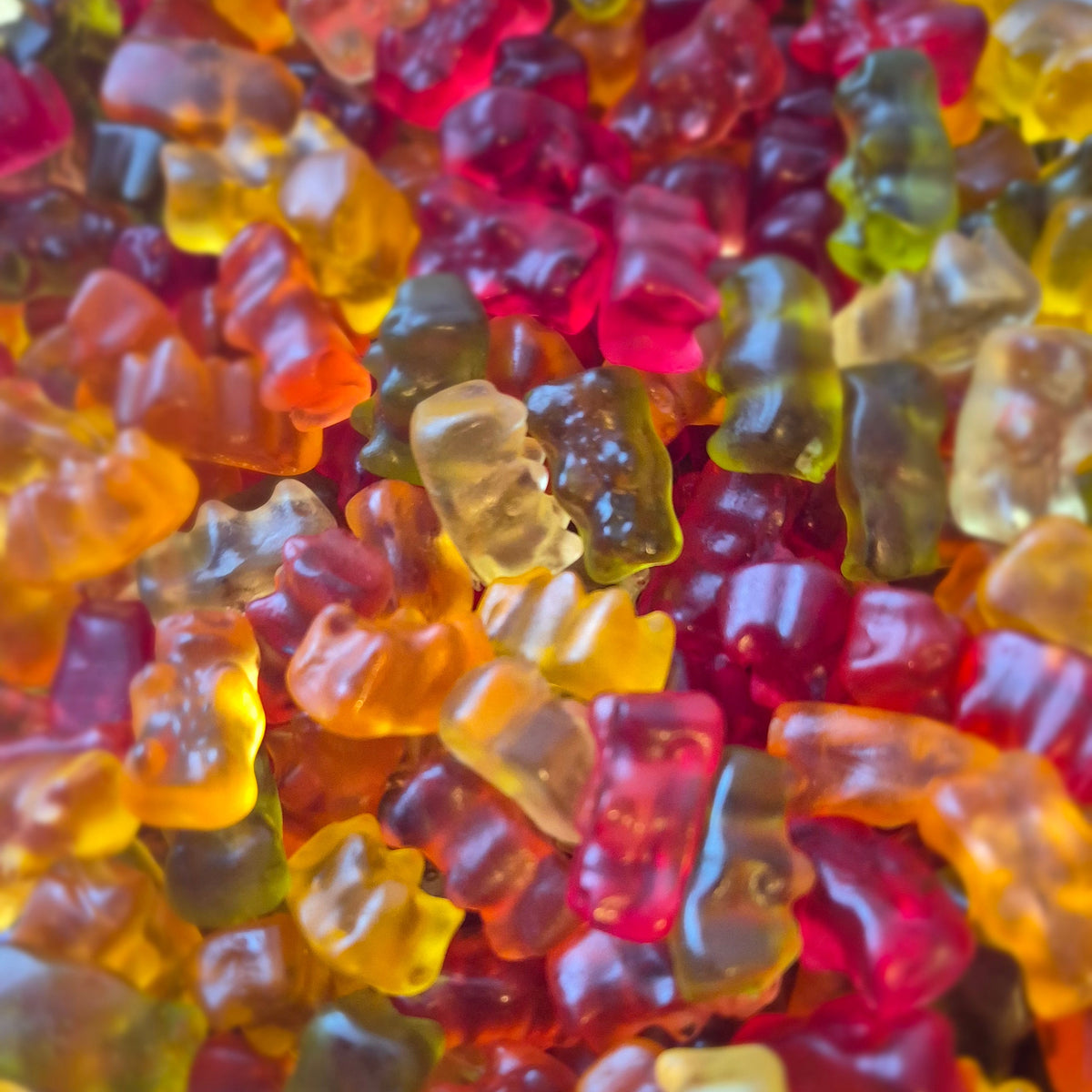 L'Ours d'Or Haribo (100g)