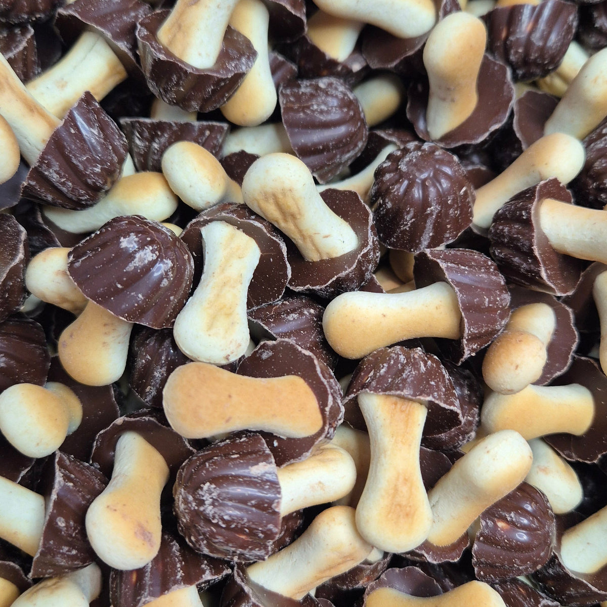Champignons au chocolat (100g)