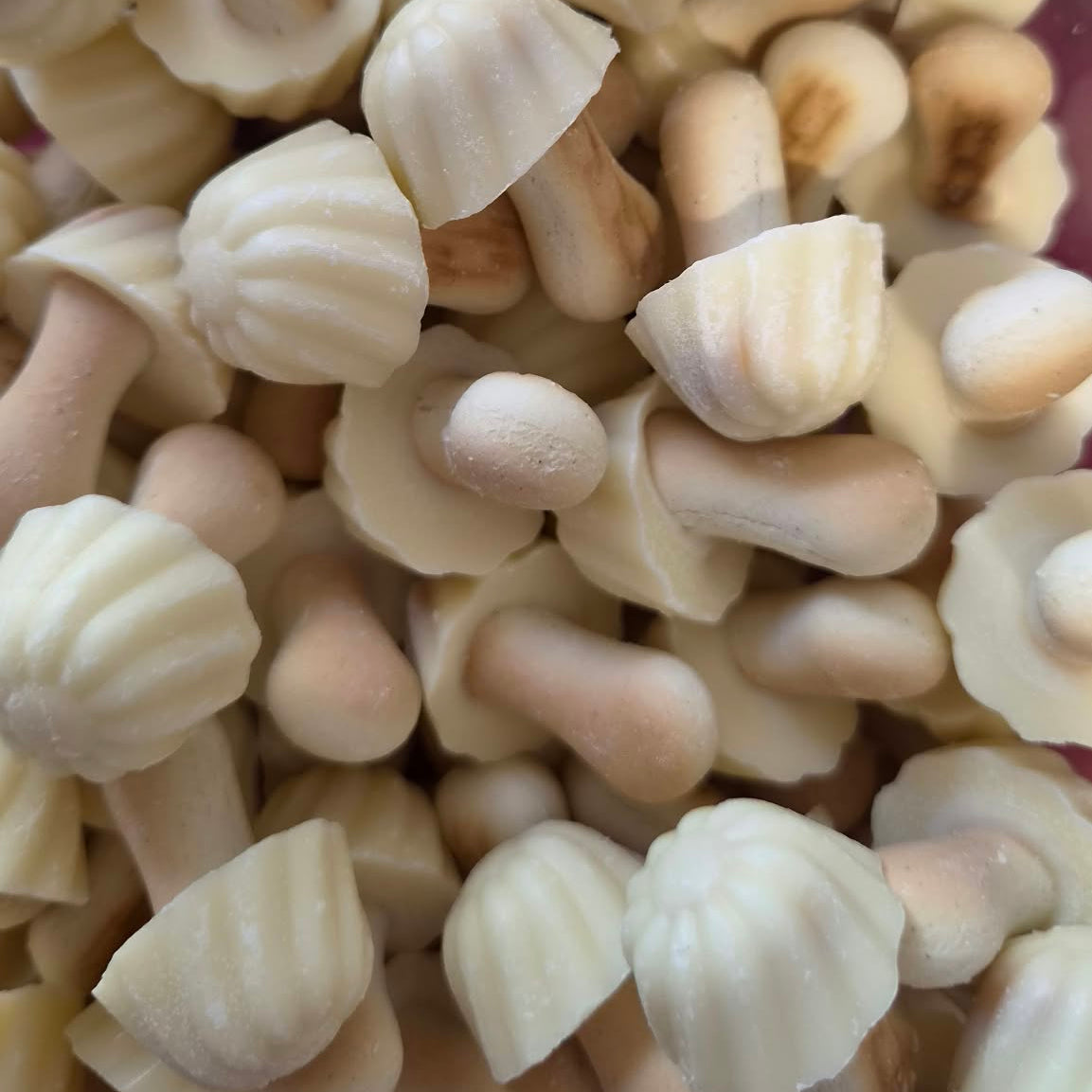 Champignons au chocolat blanc (100g)
