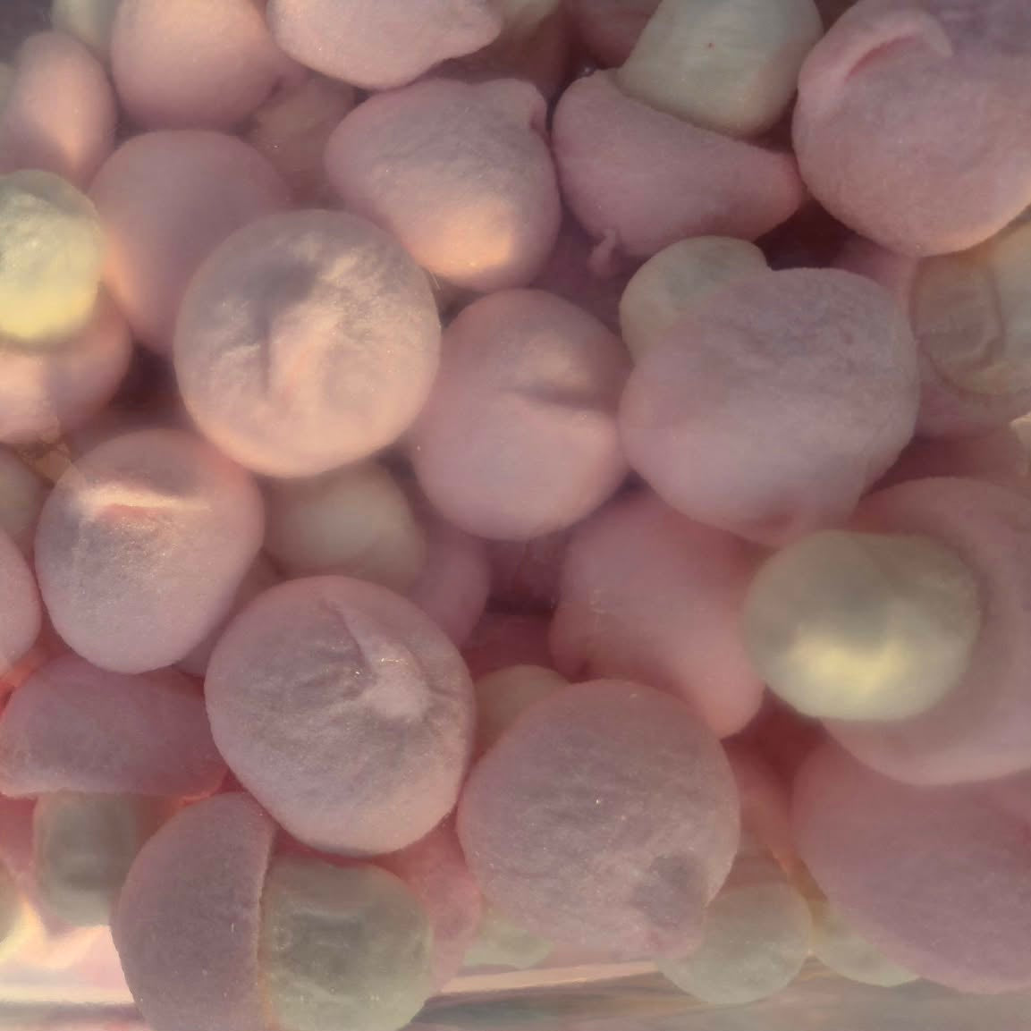 Champignons en guimauve (X5) ANTI-GASPI
