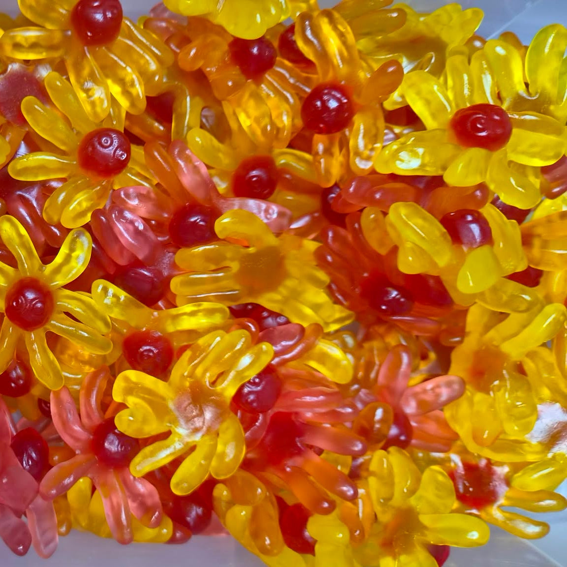 Trolli Octopus Spicy (100g)